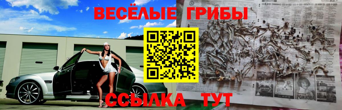 Галлюциногенные грибы мухоморы  Вход с VPN  цена наркотик  Магадан 